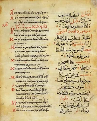 The Psalms of the Prophet David